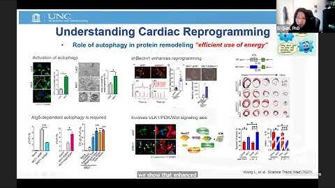 Programming and Reprogramming: What Does It Take to Make a Cardiomyocyte?