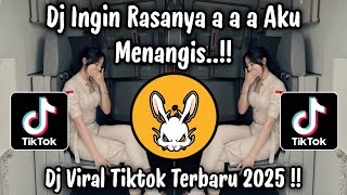 DJ INGIN RASANYA AKU MENANGIS - DJ VIRAL TIKTOK TERBARU 2025