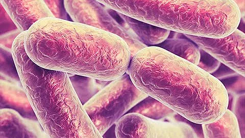 ¿Qué ayuda a la diarrea por antibióticos?