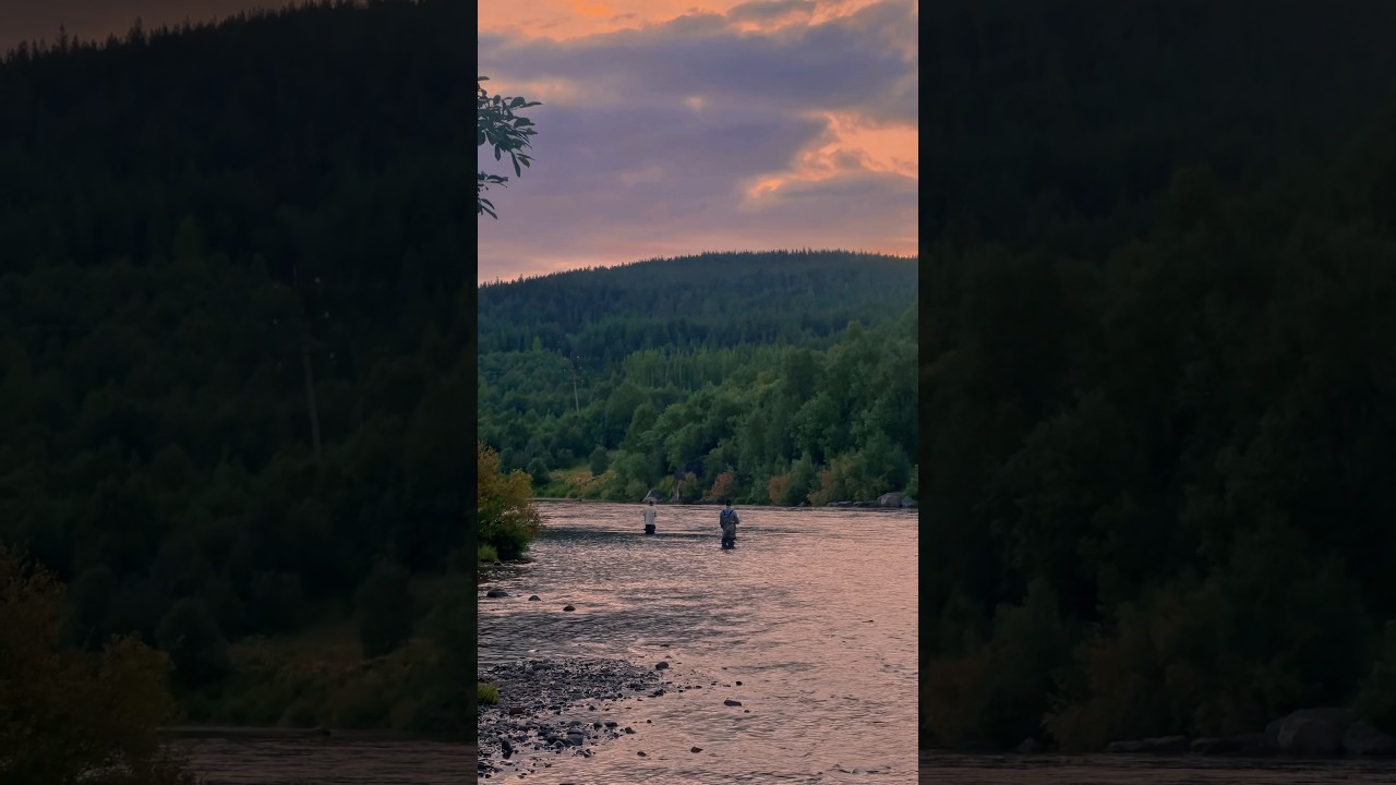 Тишина и умиротворение на рыбалке 🎣 