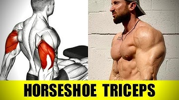 5 "Must Do" Exercises For Horseshoe Triceps