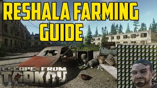 Farming Reshala: UTLIMATE Money Guide- Spawn Locations, Loot, Combat Tactics and more