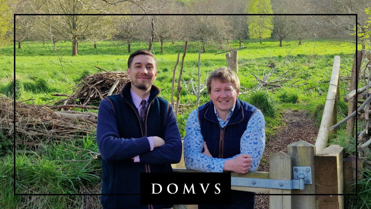 Meet the DOMVS West Dorset Team