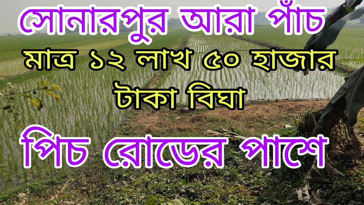 67 ভিডিও সোনারপুর স্টেশন থেকে মাত্র পাঁচ কিলোমিটার এর মধ্যে জমি বিক্রয় যোগাযোগ করুন,,9775161614