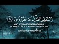 تلاوة هادئة و خاشعة القارئ عبدالرحمن مسعد و أحمد خضر أرح قلبك Abdulrhman Mosad Quran