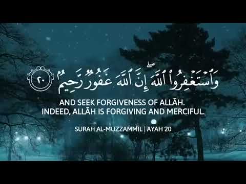 تلاوة هادئة و خاشعة القارئ عبدالرحمن مسعد و أحمد خضر أرح قلبك Abdulrhman Mosad Quran