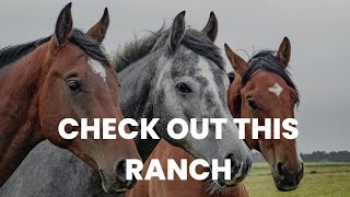 Ranch Time! Dreaming of a Ranch in East Texas, Look here!!