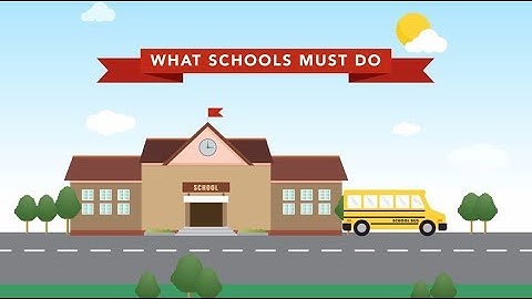 Dengue - what schools must do