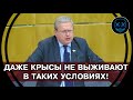 СРОЧНО! Народ живёт в условиях, в которых ДАЖЕ КРЫСЫ НЕ ВЫЖИВАЮТ! ВТО КОЛОНИЗИРУЕТ Россию! Делягин