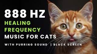 888 Hz Healing Frequency Music for Cats Black Screen with Purring Sound | Relaxing Music for Cat screenshot 4