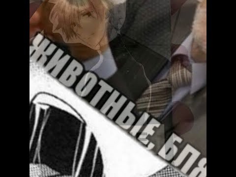 ПОЧЕМУ ВСЕ ХЕЙТЯТ АНИМЕШНИКОВ