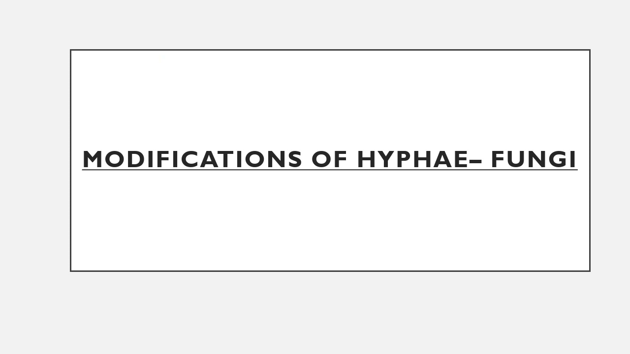 Modifications of hyphae -- Fungi