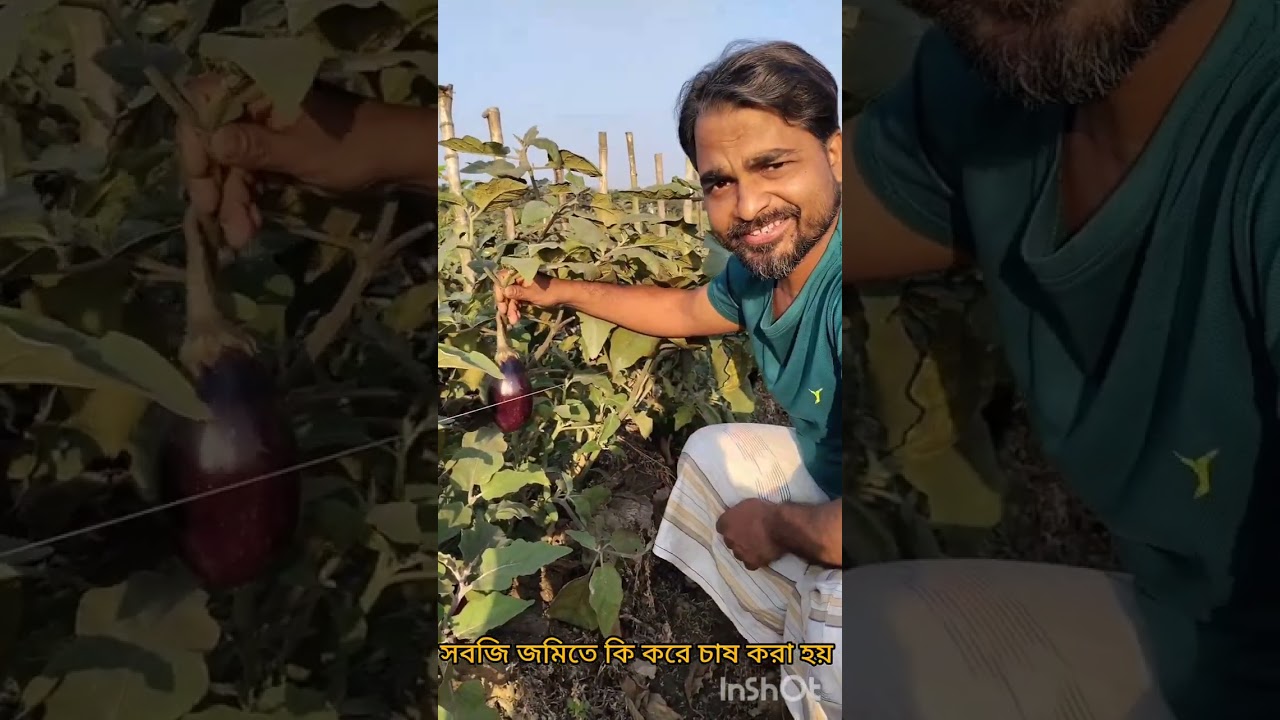 সবজি কি করে চাষ করা হয় সেটাই দেখাচ্ছি #freemotion #freemotion @😔