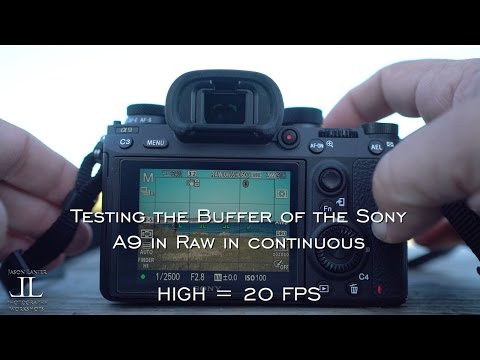 Sony A9- Buffer Real World Test!  Continuous High 20 FPS and Medium 10 FPS in Raw