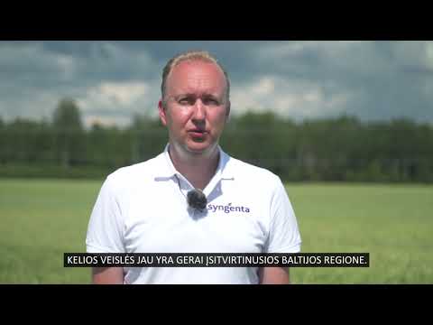 Video: Durų Rėmas: Veislės Ir Medžiaga, Pliusai Ir Minusai, Taip Pat Kaip Teisingai Pagaminti