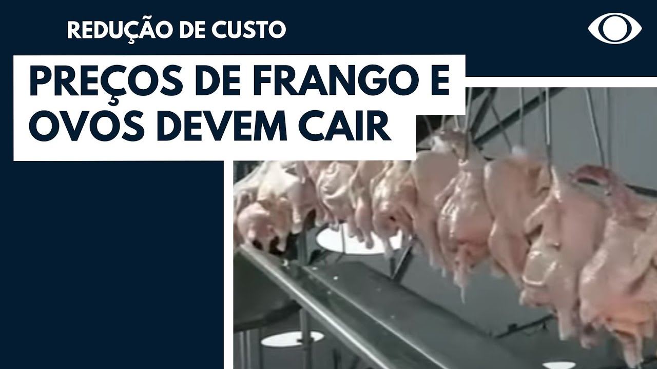 Preços do frango e dos ovos devem cair