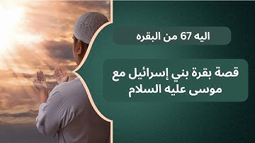 الآية 67 من سورة البقرة | قصة بقرة بني إسرائيل مع موسى عليه السلام