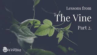 Lessons from the Vine | Part 2