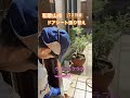 玄関ドアシート張り替え #ダイノック #リアテック #リフォーム #壁紙diy #模様替え #リノベーション #マイホーム #施工 #職人 #掃除 #ホーム
