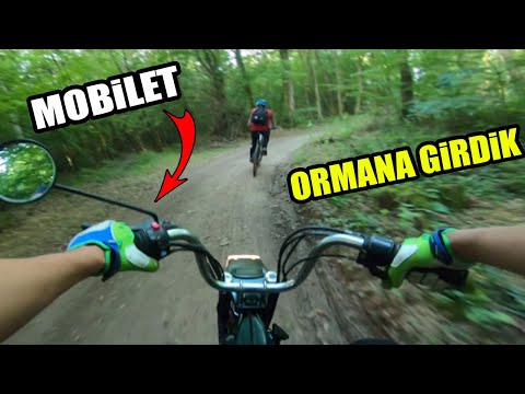 Mobilet ile Fransa Ormanına girdik, Fena gazlıyoruz ! Yok böyle mobilet gezisi !