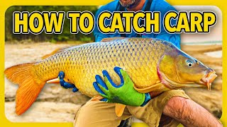 How to catch carp, CHEAP and SIMPLE carp fishing tips