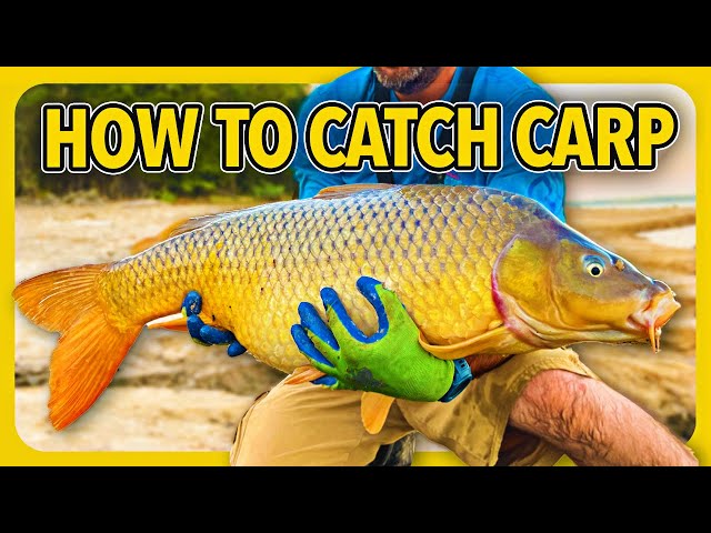 How to catch carp the easy way. CHEAP and SIMPLE carp fishing tips 