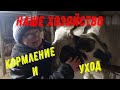 Наше хозяйство.Кормление и уход #Вашехозяйство #Здравур  #кормовыедобавкидляптицы