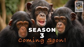 ALU SEASON 3 - COMING SOON by Apes Like Us 2,114 views 9 months ago 3 minutes, 11 seconds