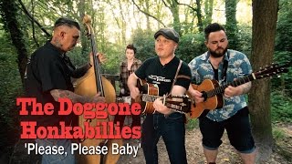 'Please, Please Baby' The Doggone Honkabillies (bopflix sessions) BOPFLIX chords