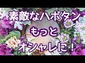 簡単でオシャレな【寄せ植え】葉牡丹でリース作り
