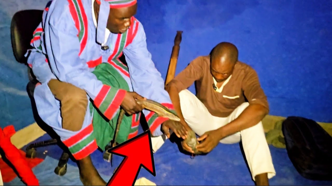 Kuromba kwembinga inembiri yazvifumura, Mupurwa ndoutuma kunobira vanhu mari Ndinotengera vanhu mota