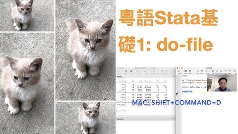 粵語Stata基礎1:Do files