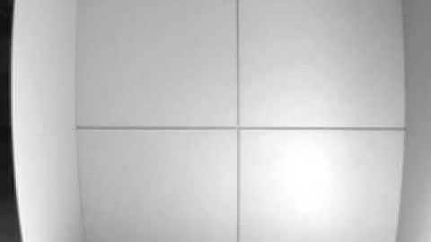 Jordan Barrett Elder Open Field Mouse Video