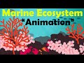 Exploring the Depths of Marine Ecosystems and Their Inhabitants