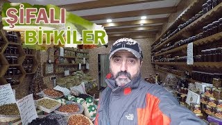 Şi̇fali Bi̇tki̇ler Gezdik Gördük Si̇ze Geti̇rdi̇k . İn-Al Tic Oylat