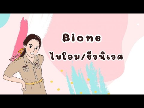 Biome (ไบโอม/ชีวนิเวศ) | สรุปเนื้อหาที่มีรายละเอียดมากที่สุดเกี่ยวกับไบ โอม แหล่ง น้ํา จืด