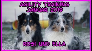 Agility Training Januar 2019 - Slalom - Running Contacts - 2On2Off - Rosi Und Ella