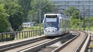 Trams in the Hague, Netherlands 2016