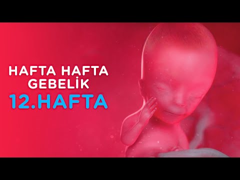 Video: Nasıl Hızlı Hamile Kalınır (Resimlerle)