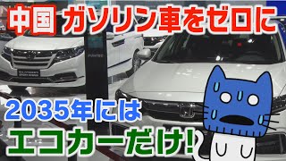 2035年にはガソリン車ゼロに！中国の新方針【マスクにゃんニュース】