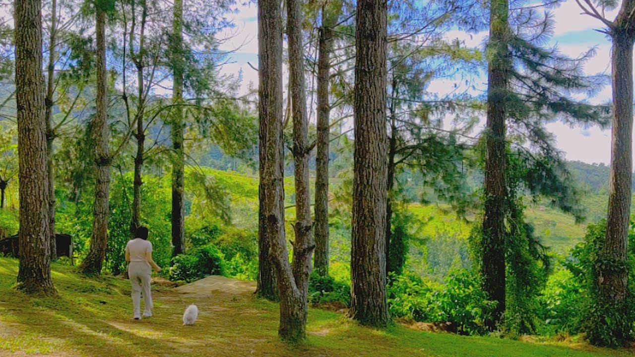 weekend vlog : a simple getaway to countryside 🌲 | camp sabros mountain | almariejoy