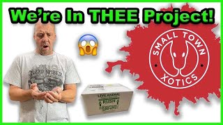 Ball Python Unboxing | New Project Reveal!!!