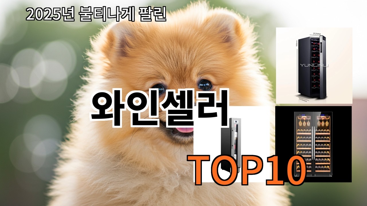 알리 와인셀러 써보고 나서 신뢰 유지됨