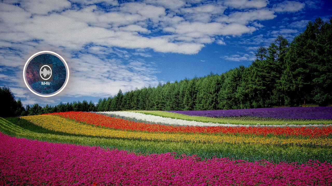 Life of Riley - Kevin MacLeod (Free music - No copyright - Background - Uplifting - Vlog)