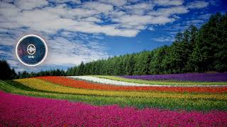 Life Of Riley - Kevin Macleod Free Music - No Copyright - Background - Uplifting - Vlog