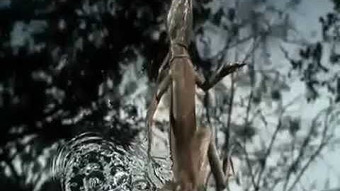 قصة نوح مع ابنه _للقارئ محمد الجعيدي