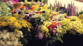 EF   Live The Language   Paris on Vimeo