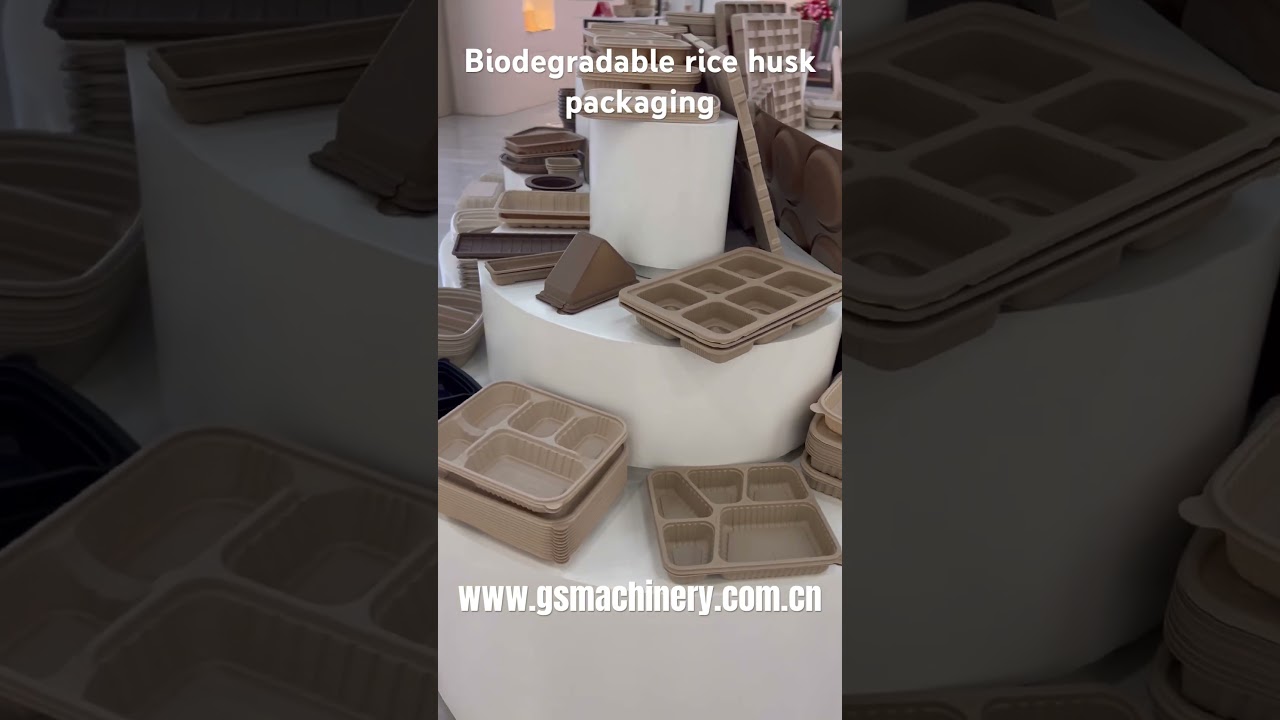 Biodegradable rice husk eco friendly packaging 