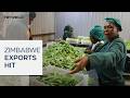 Rising shipping costs threaten Zimbabwe farmers' livelihoods