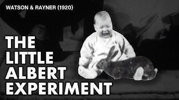 The Little Albert Experiment | Watson & Rayner (1920)